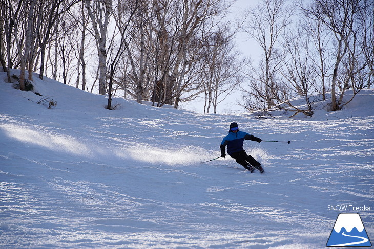 DYNASTAR SKI series Test Ride Days 2017 in ニセコユナイテッド【Day.2】～ニセコグラン・ヒラフ～